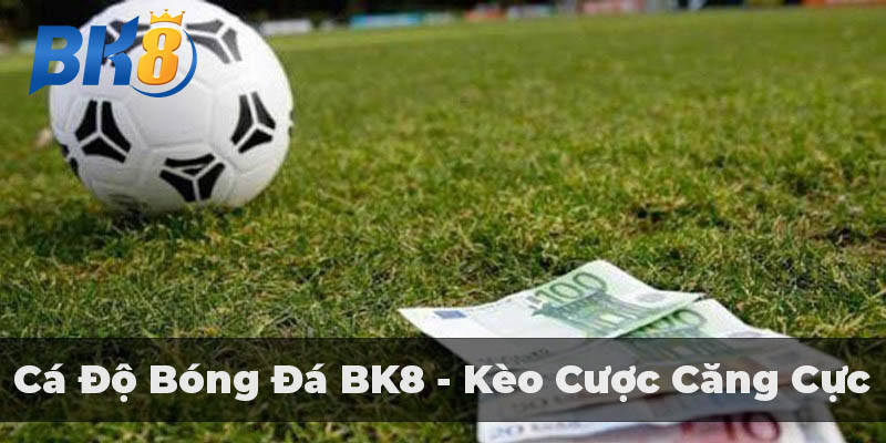 Cá độ bóng đá nhiều hình thức cược hàng đầu