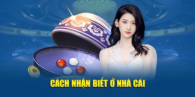 Cách nhận biết nhà cái có hành vi gian lận, dùng phần mềm can thiệp